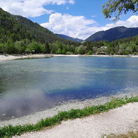 Les Chalet Kranjska Gora Duplex Eksteriør bilde