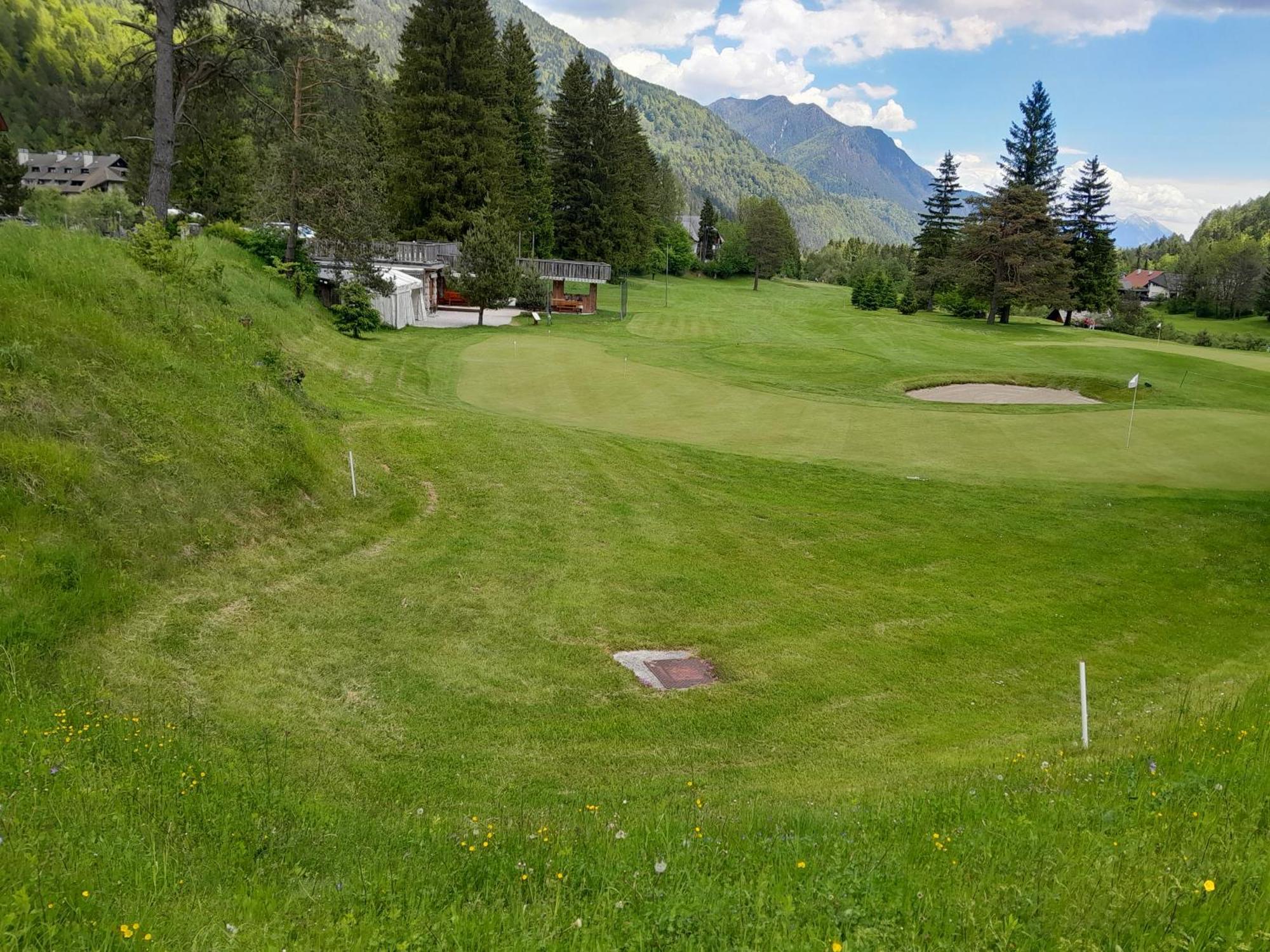 Les Chalet Kranjska Gora Duplex Eksteriør bilde