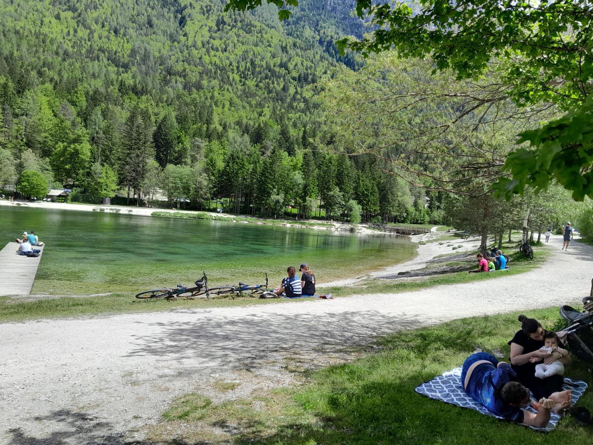 Les Chalet Kranjska Gora Duplex Eksteriør bilde